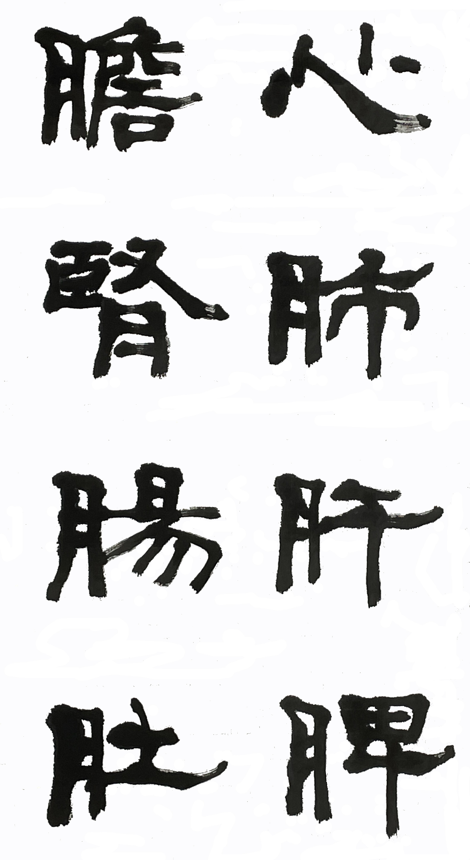 104심폐-3727.jpg