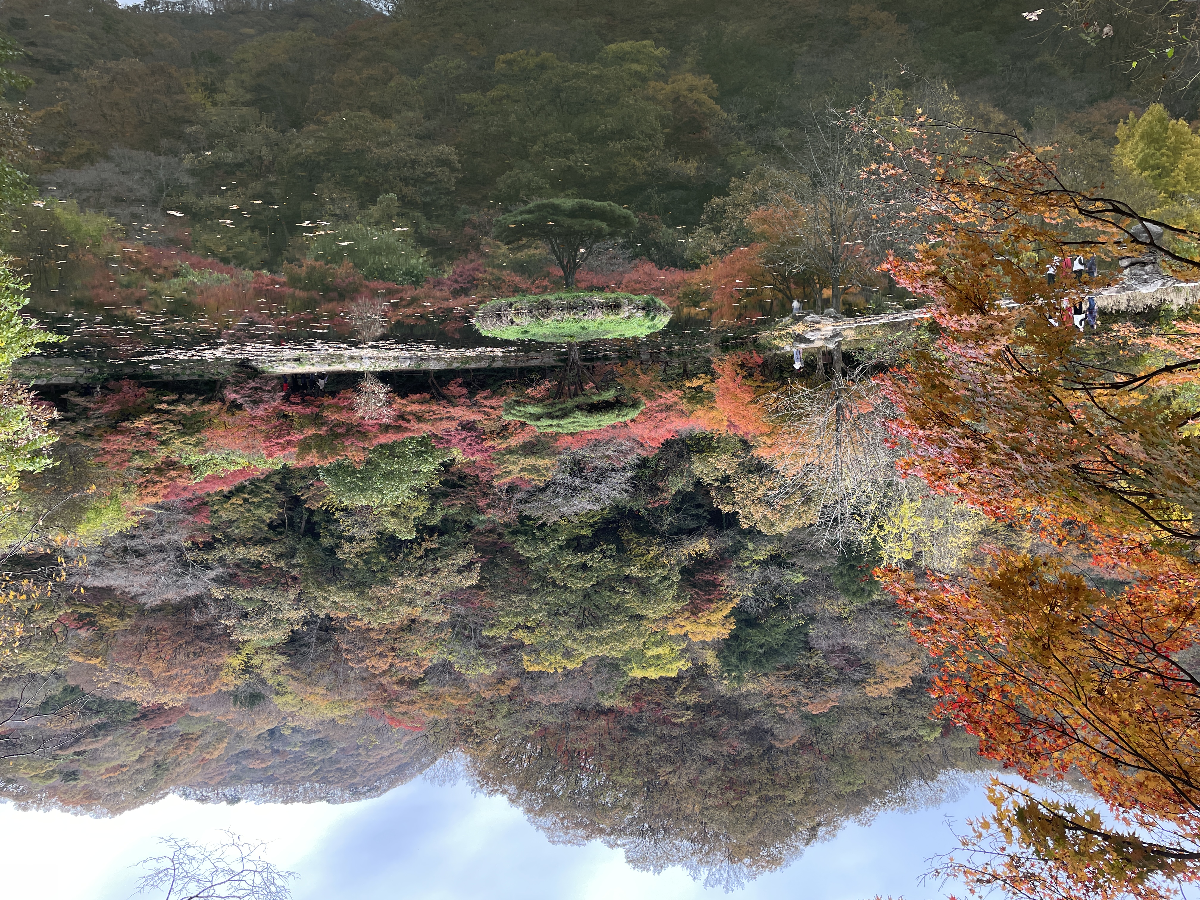 IMG_4421.jpeg