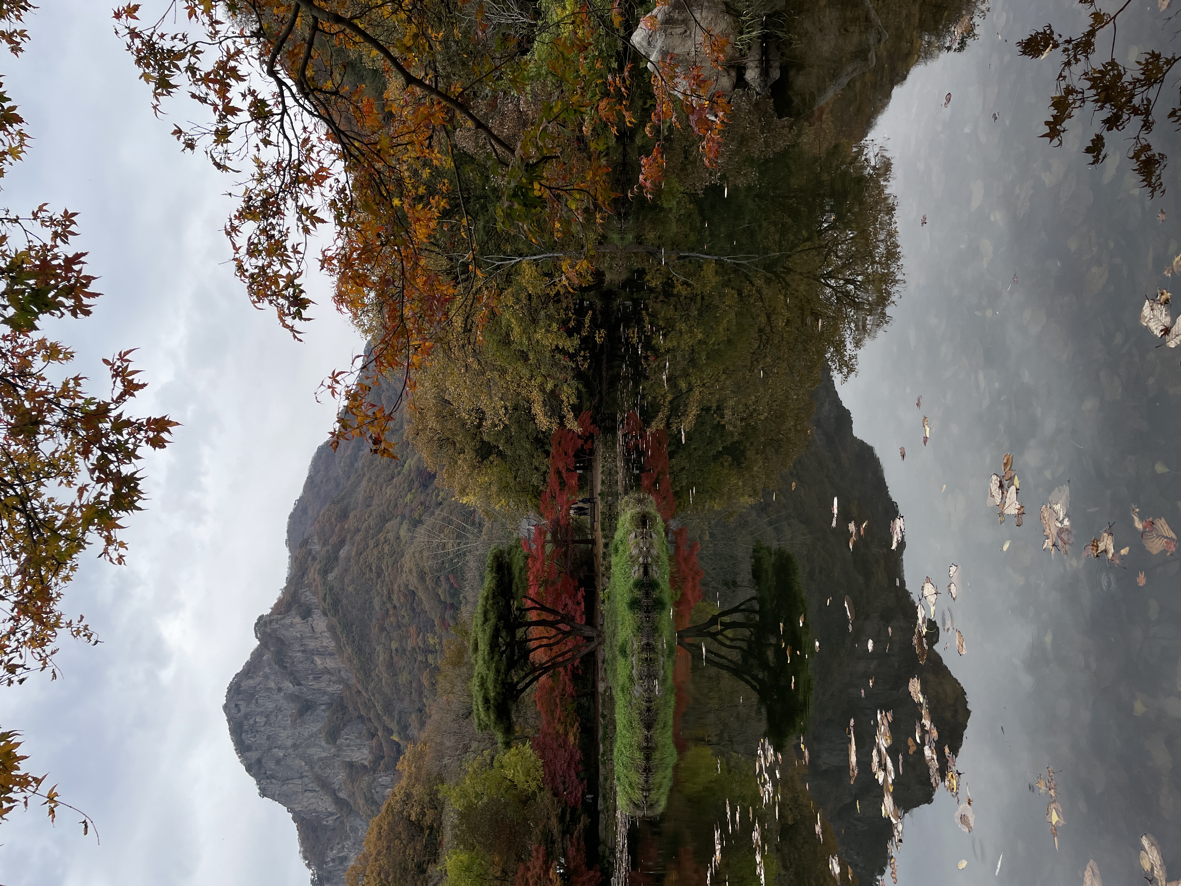 IMG_4427.jpeg