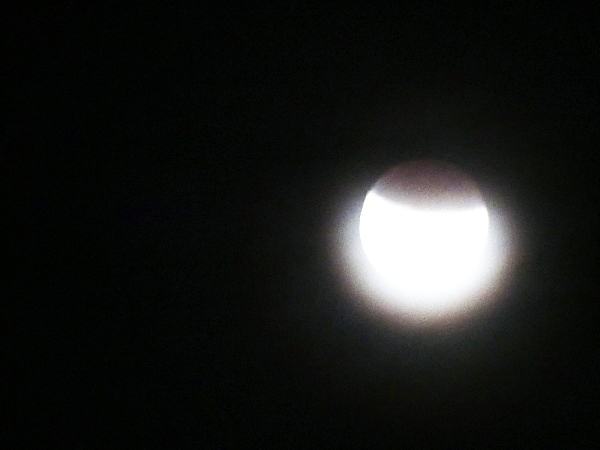 월식21-1150556.jpg
