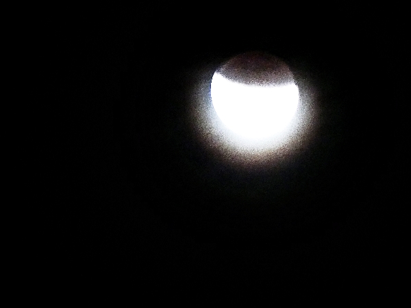 월식119-1150554.jpg