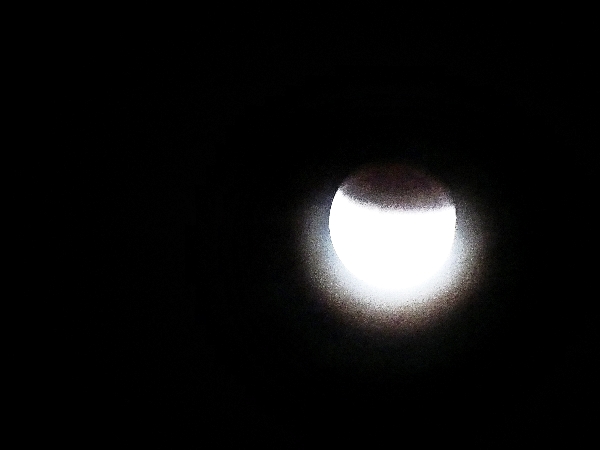 월식20-1150555.jpg