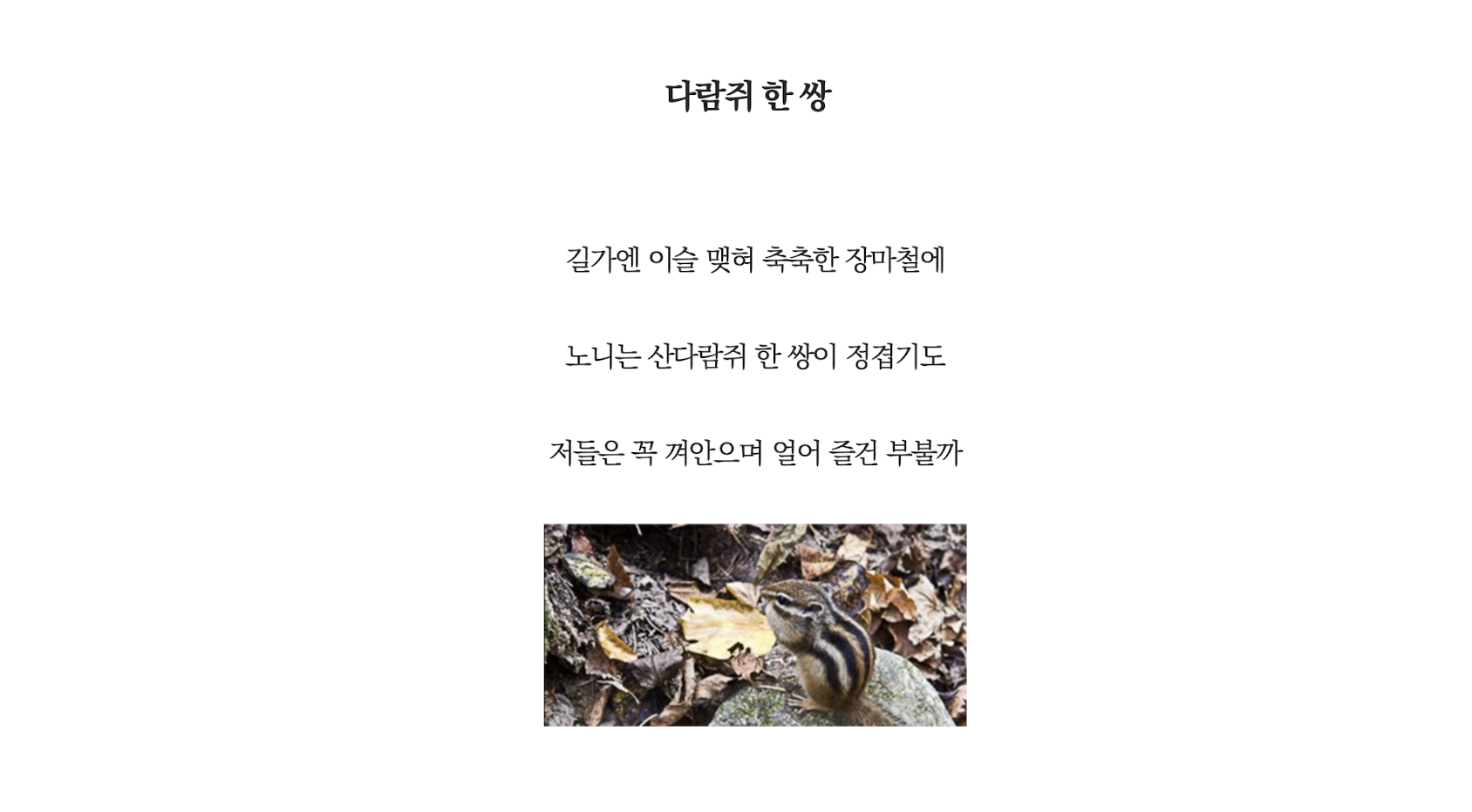 다람쥐.png