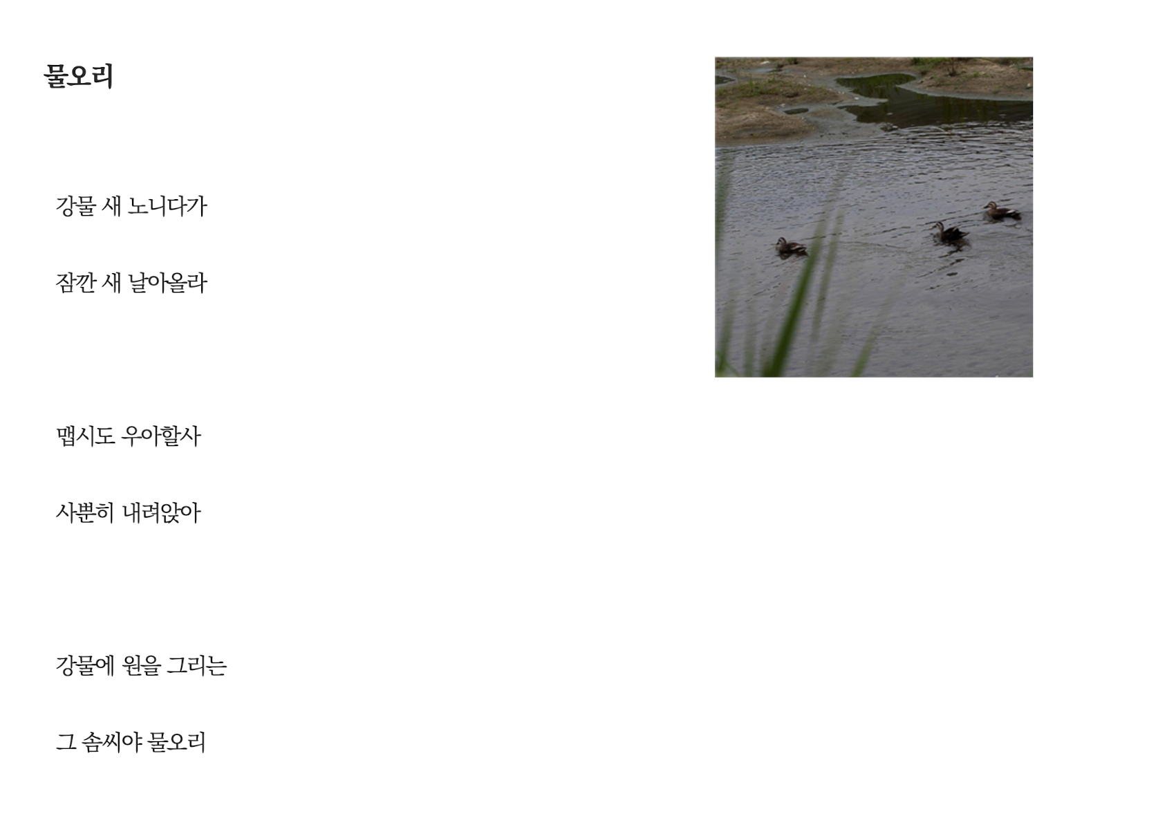 물오리.png