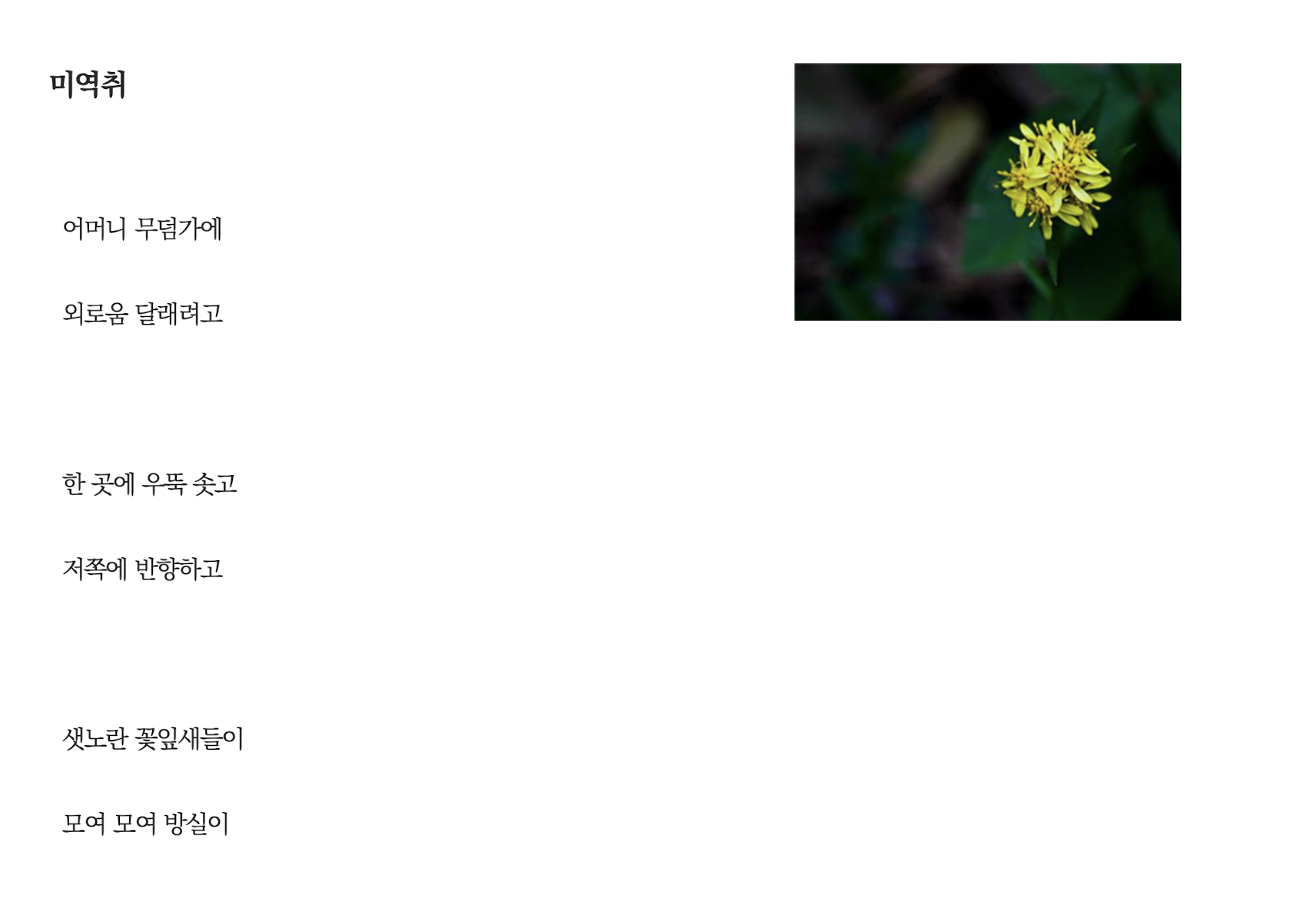 미역취.png