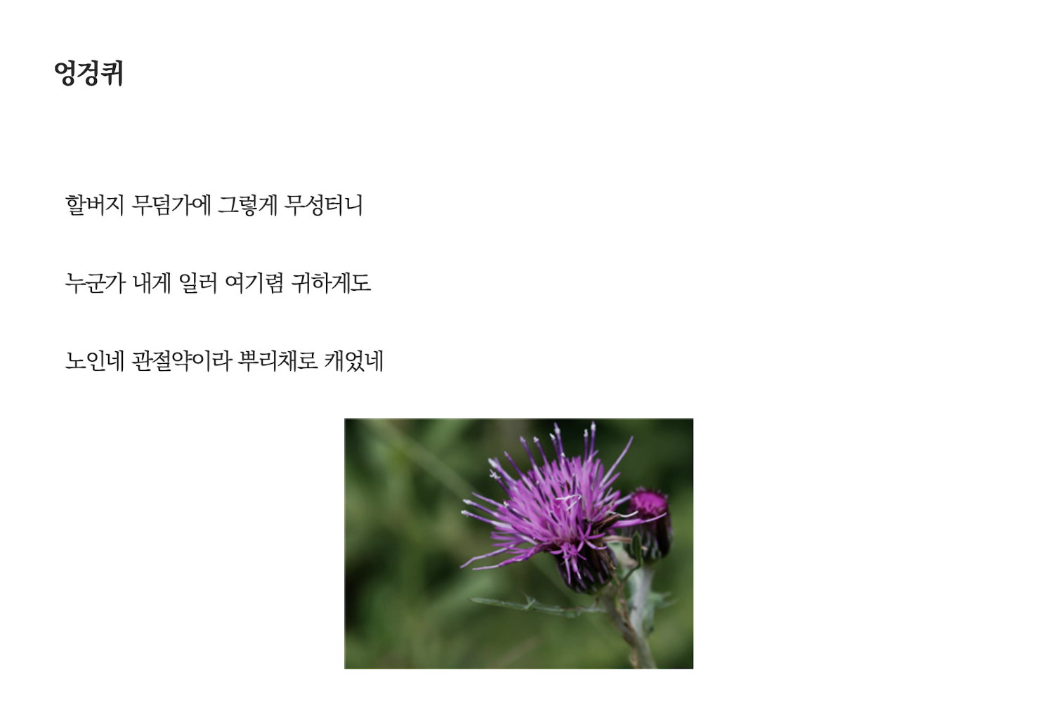 엉겅퀴.png