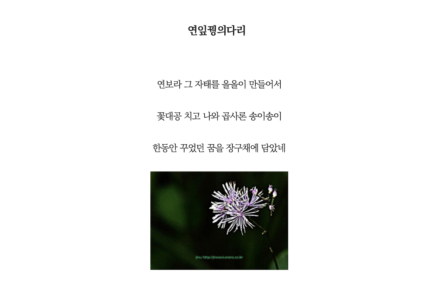 연잎꿩의다리.png