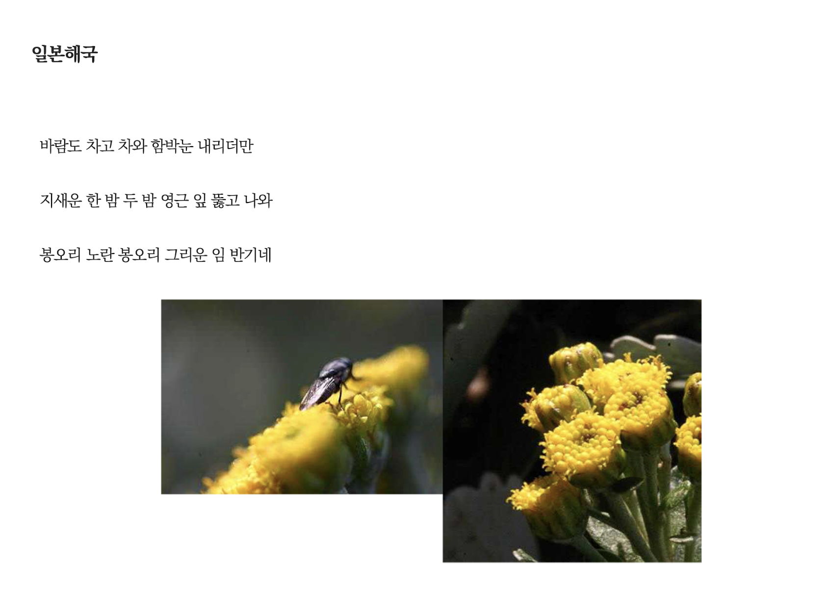 일본해국.png