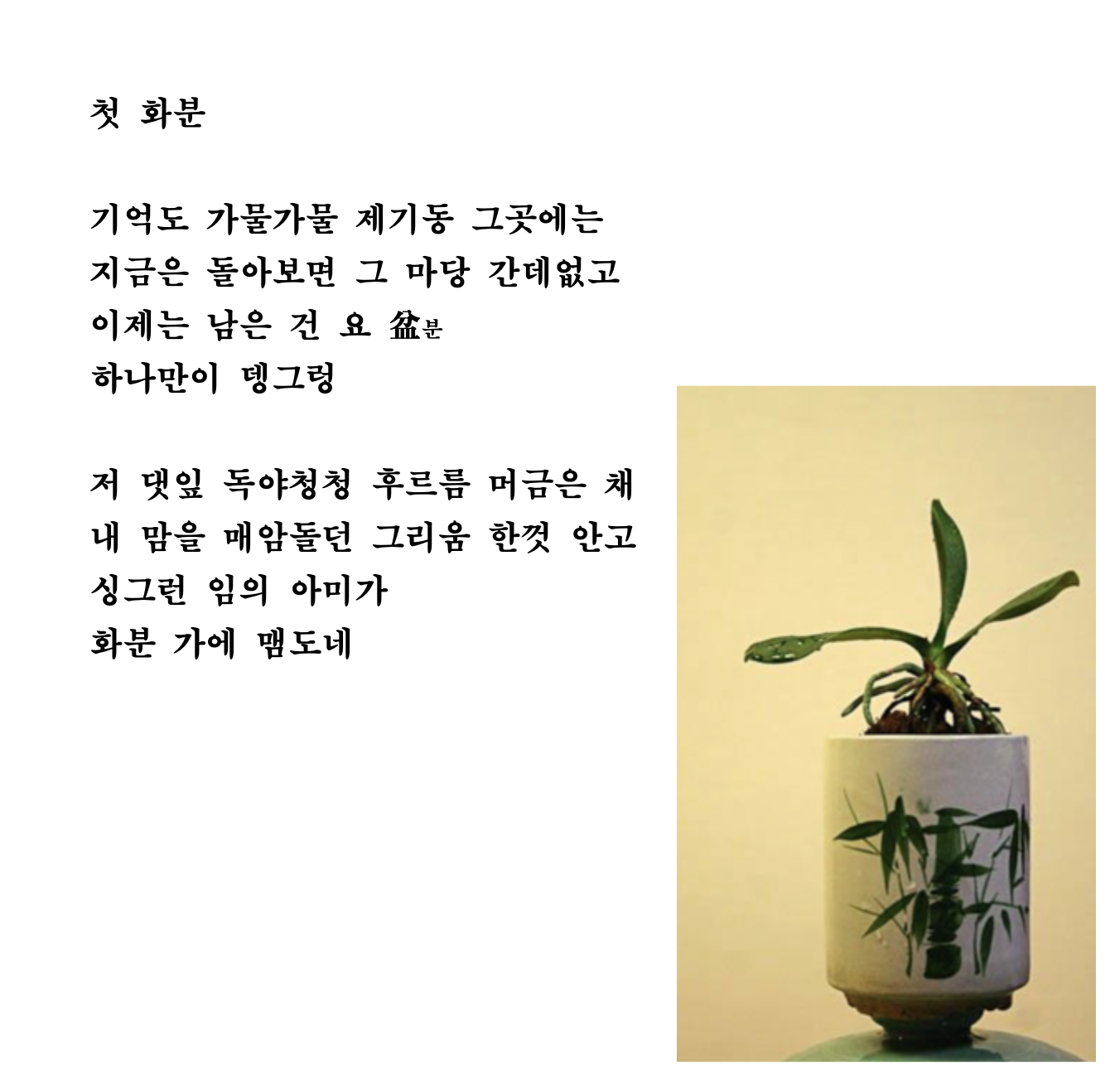 첫화분.png