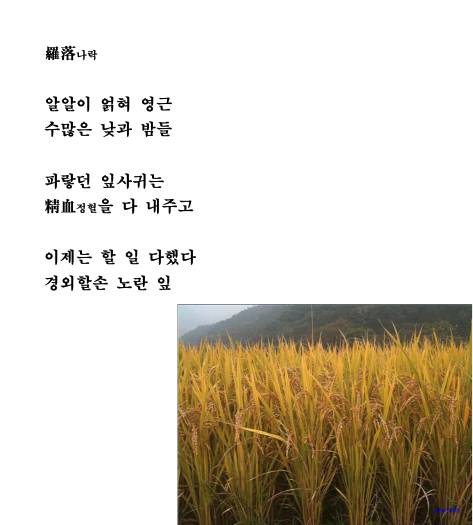 나락.png
