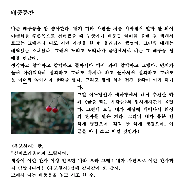 배풍둥찬.png