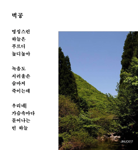 벽공.png
