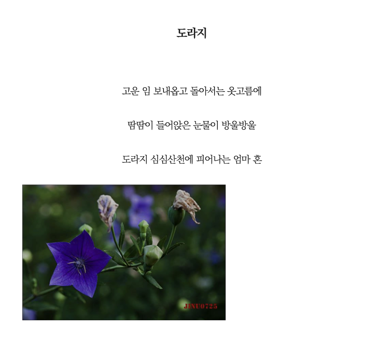 산도라지.png