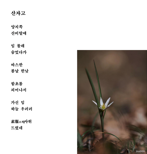 산자고.png