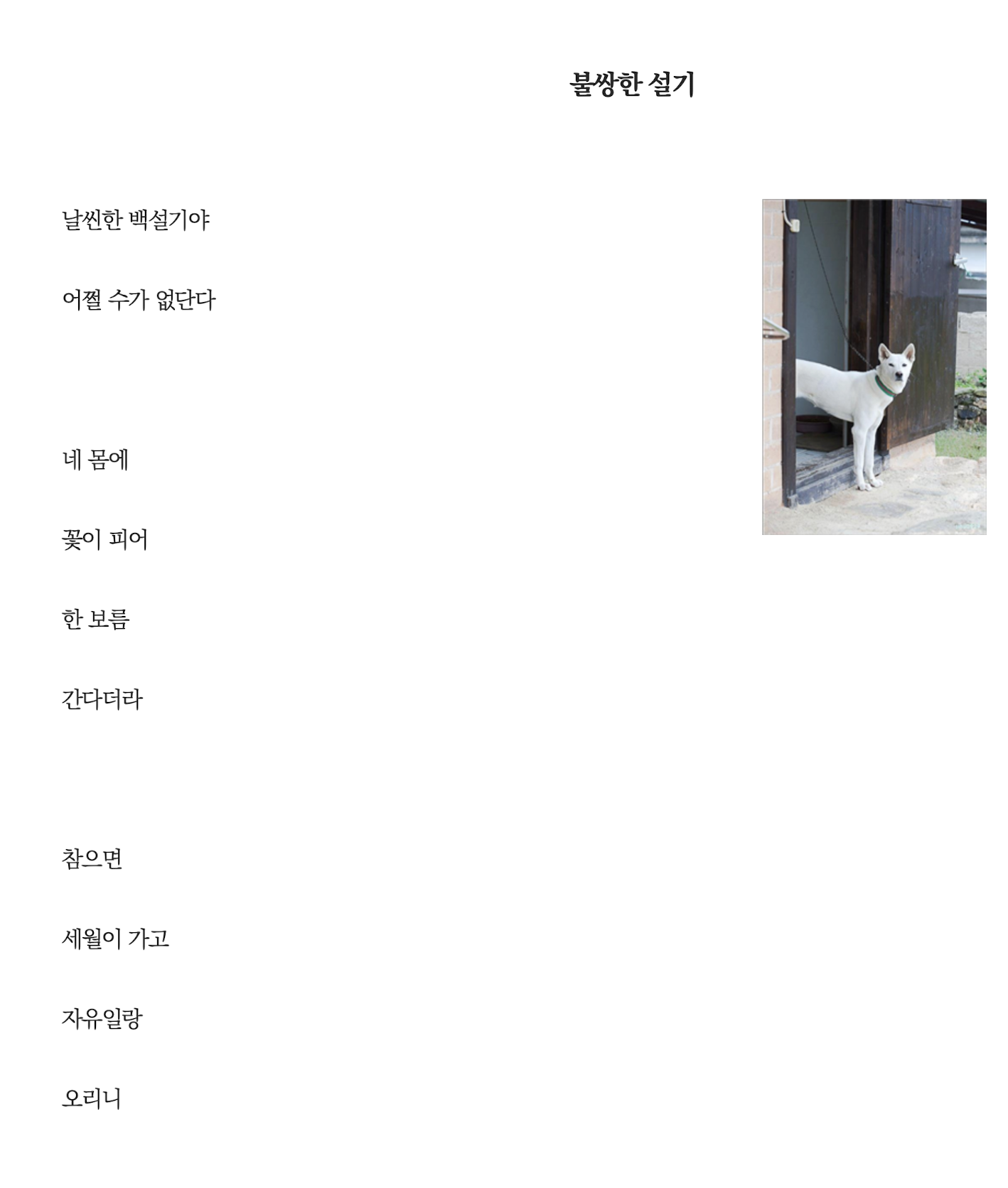 설기.png