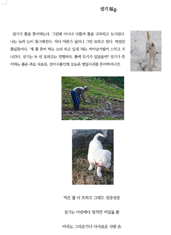 설기송.png