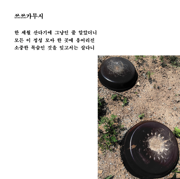 쓰쓰가무시.png
