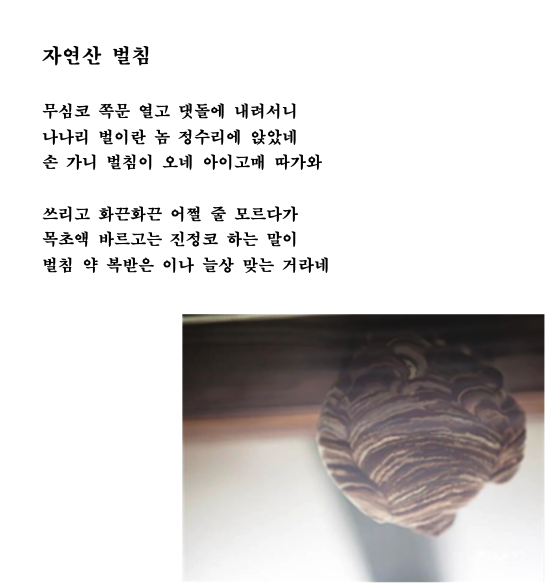 자연산벌침.png