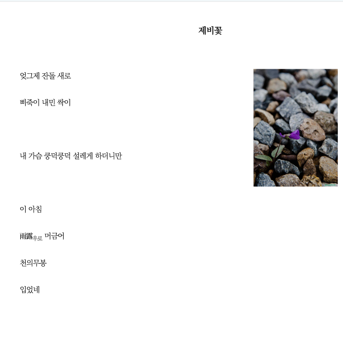 제비꽃.png