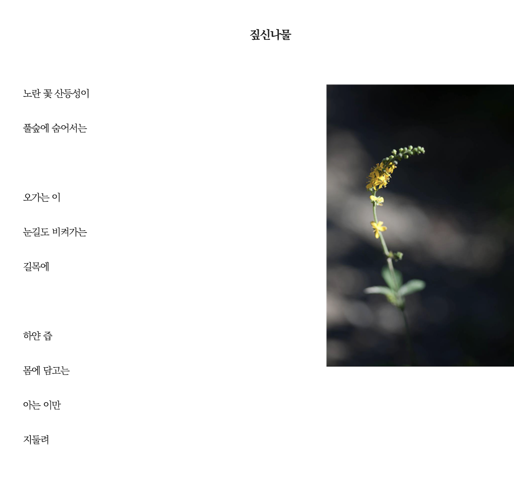 짚신나물.png