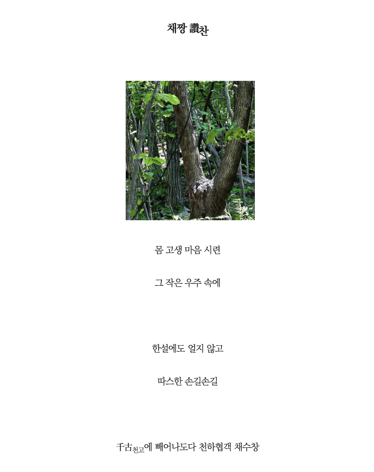 채짱찬.png