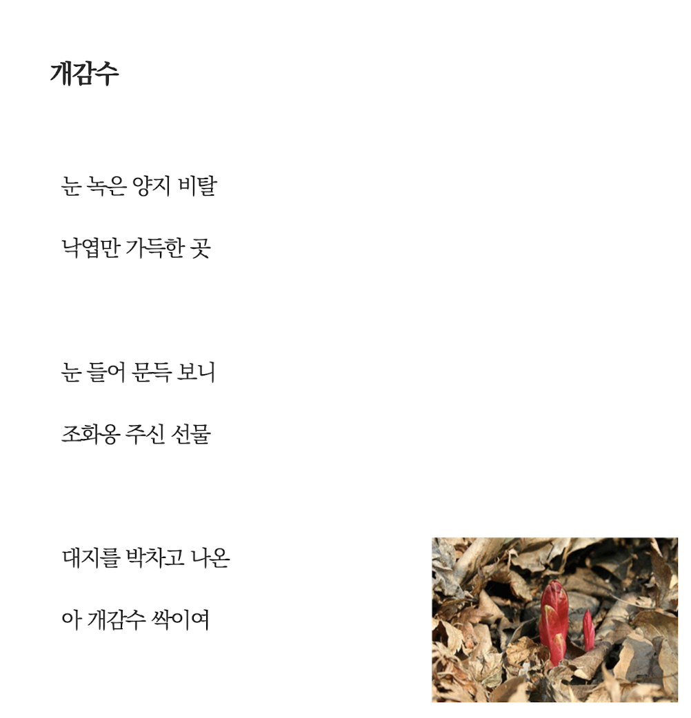 개감수.png