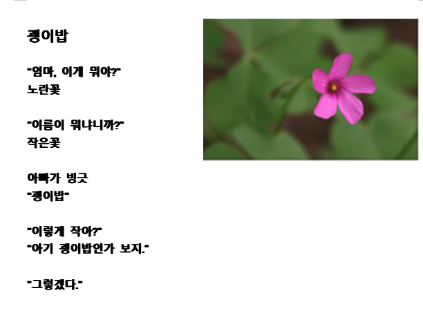 괭이밥.png