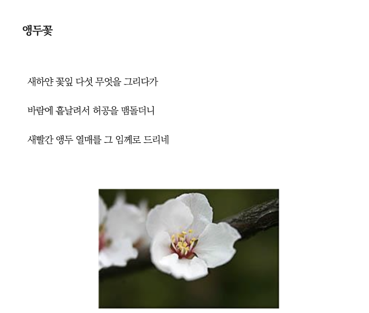 앵도꽃.png