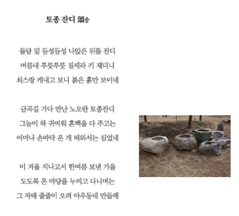 토종잔디송.png