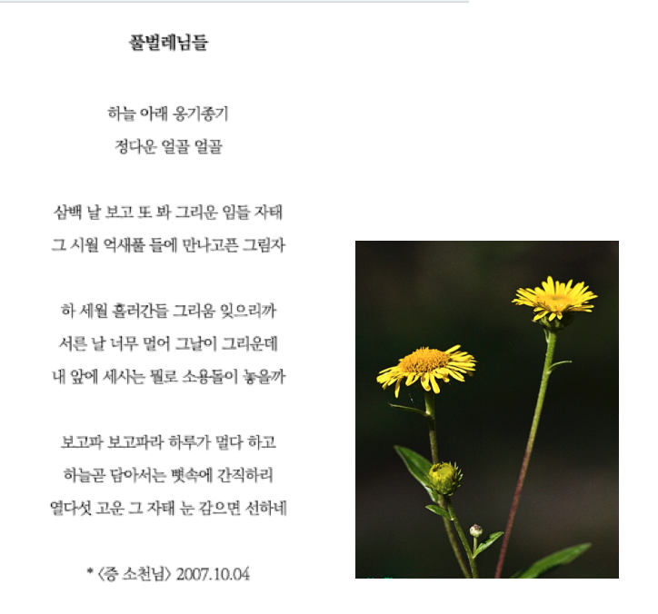 푸벌레냄들.png