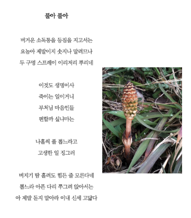 풀아풀아.png