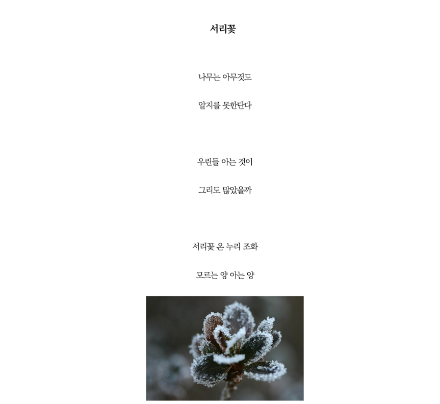 서리꽃.png