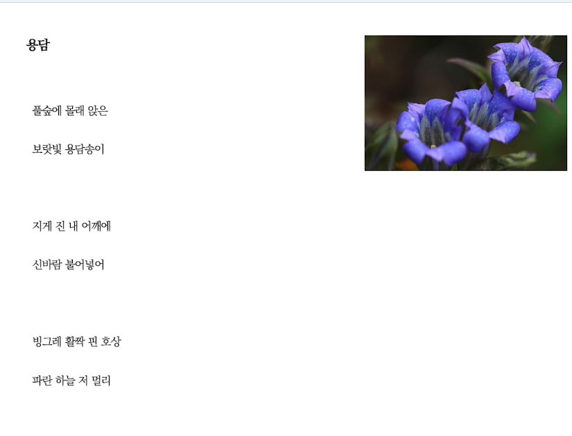 용덤.png