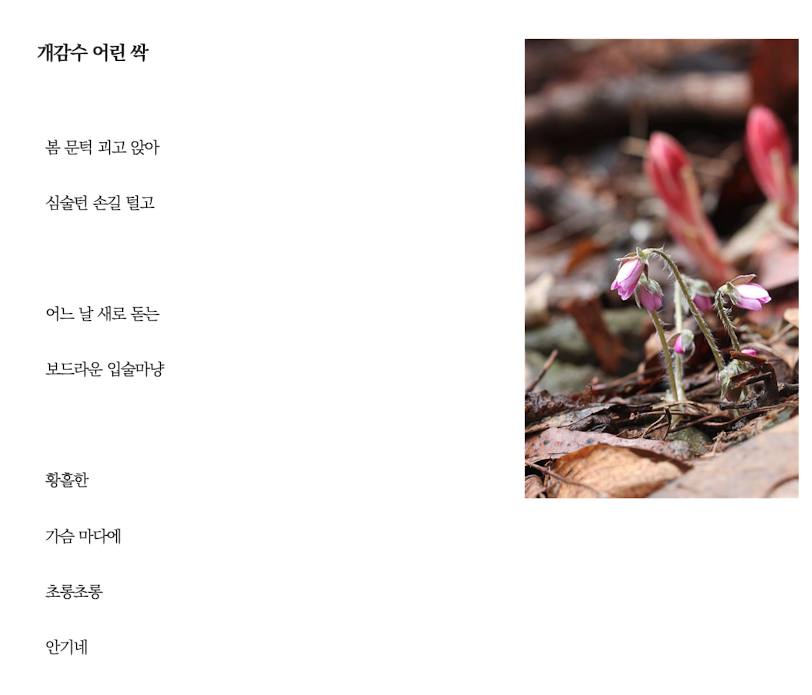 스크린샷 2023-08-02 오전 4.41.41.png