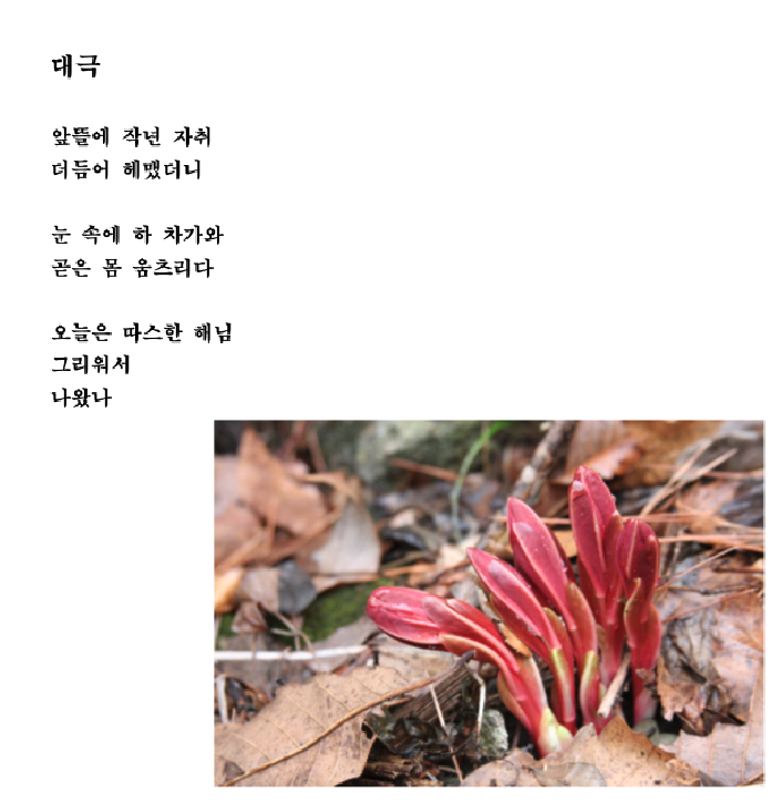 대극.png