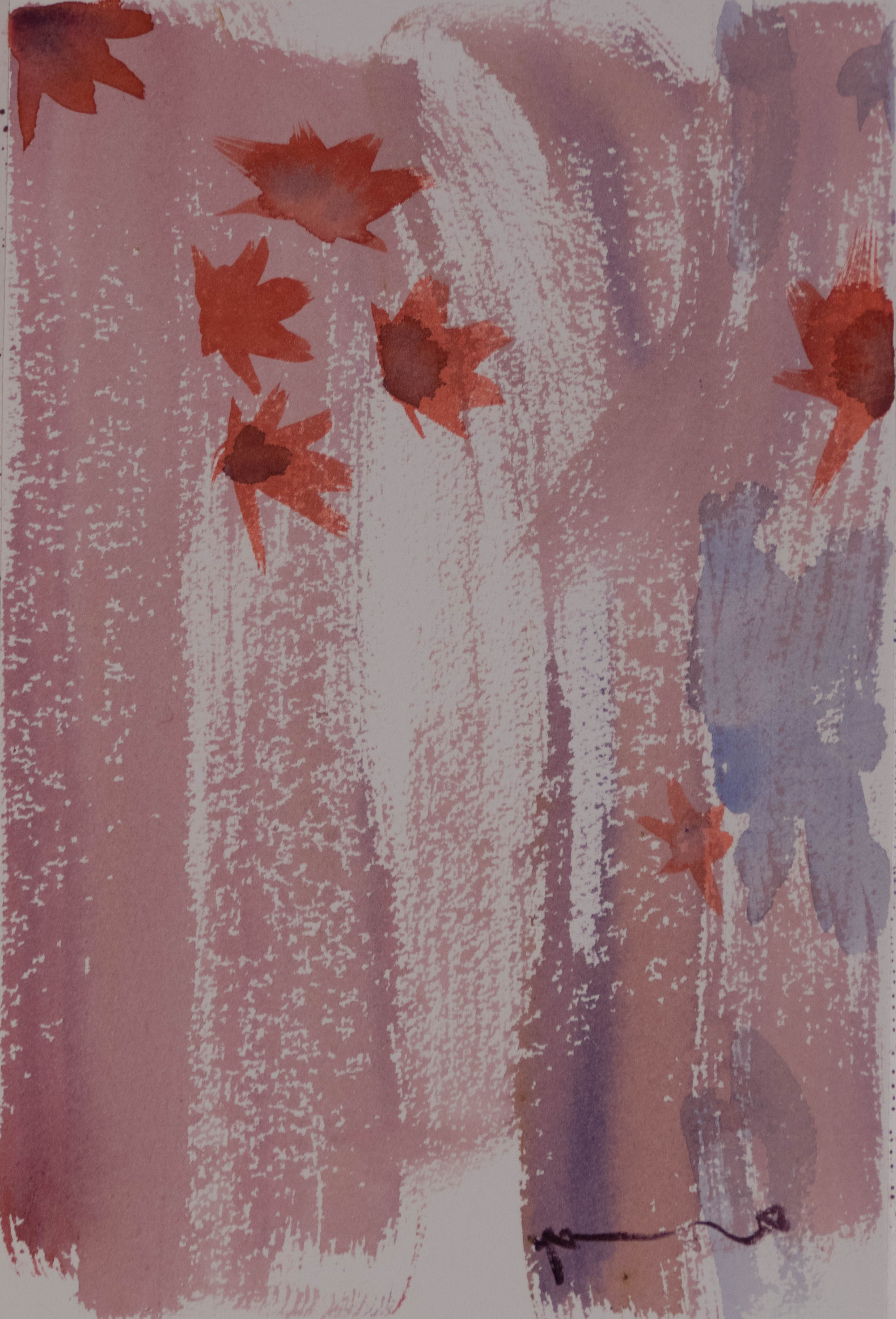 애기단풍컷1-1060214.jpg