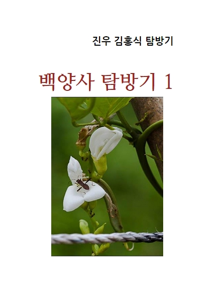 백양사탐사기1.png