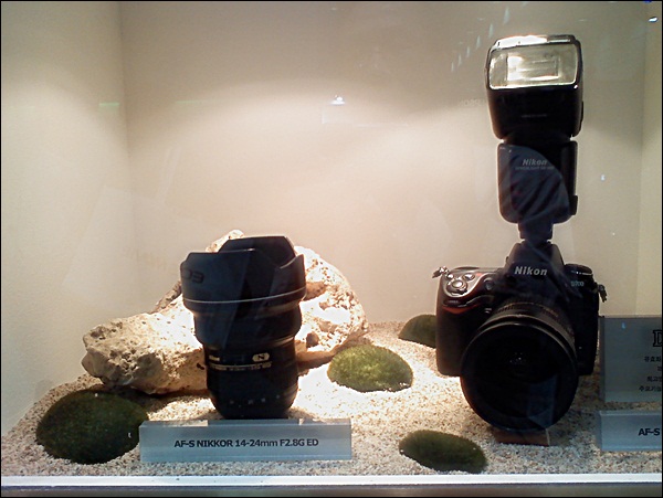 사진100501_006.jpg