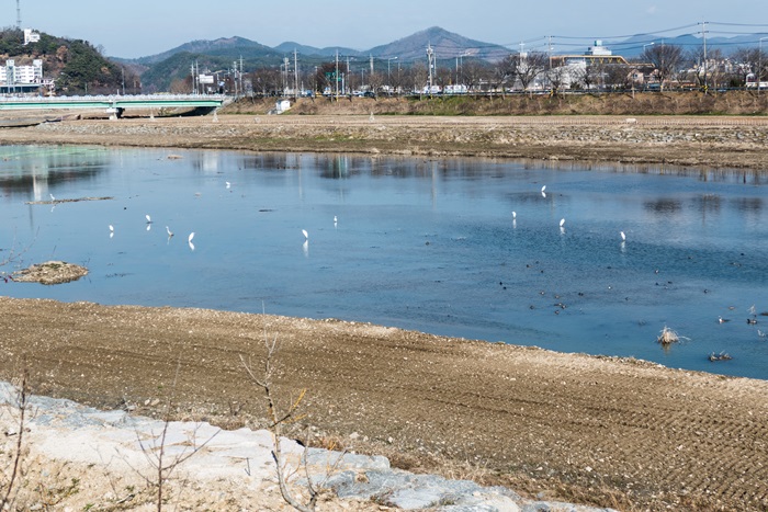 황룡강-1050346.jpg