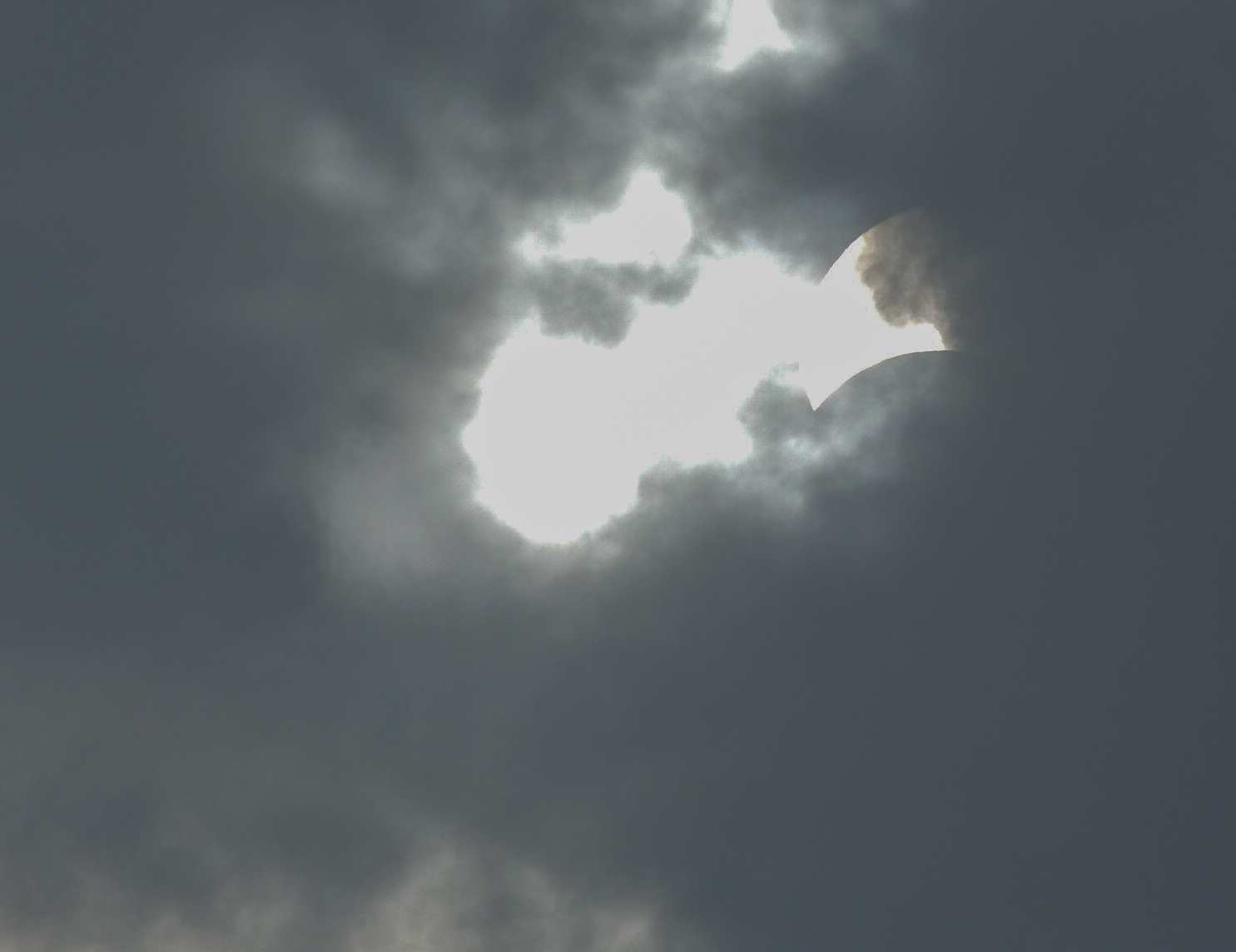 일식-1110495.jpg