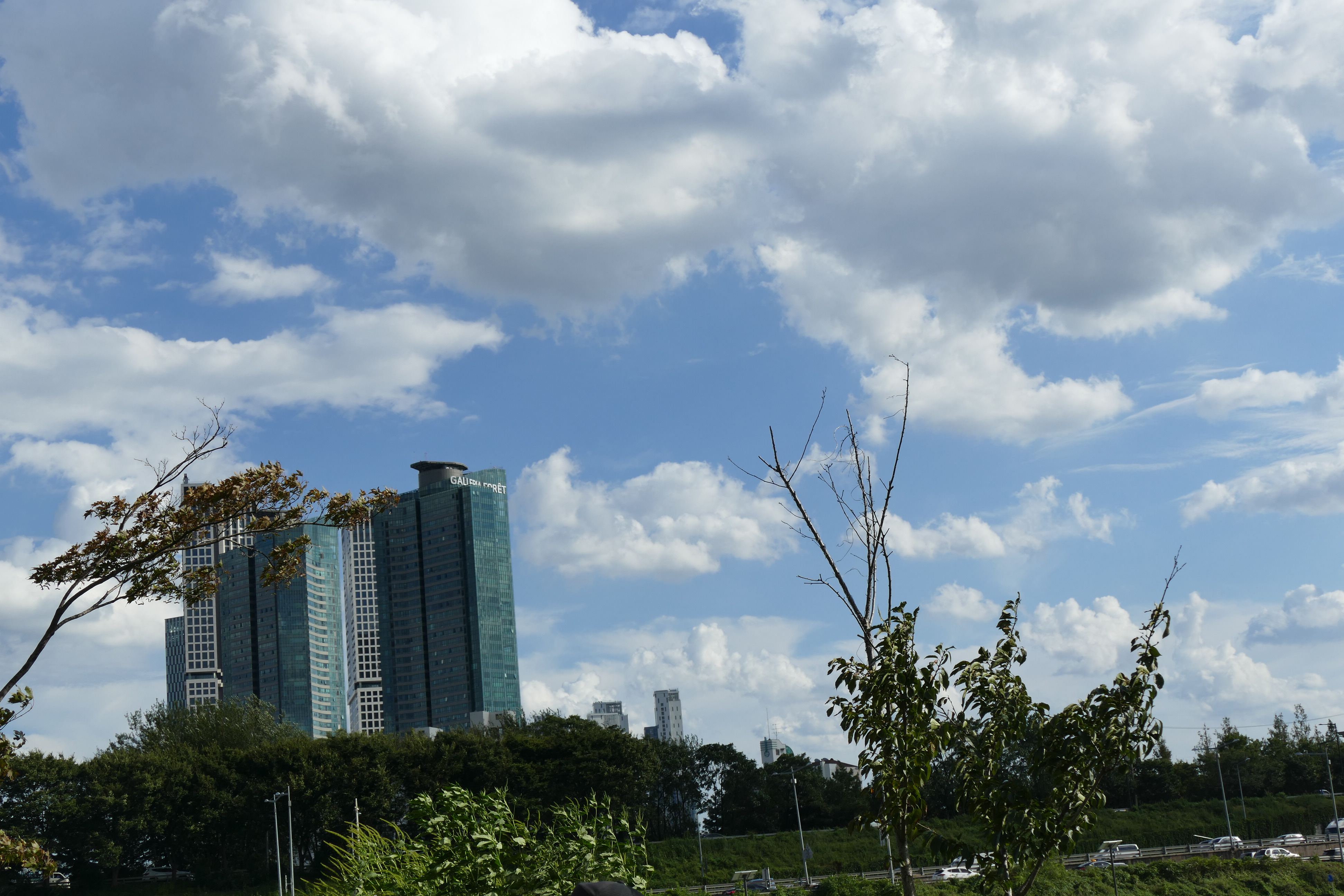 L1120154.JPG