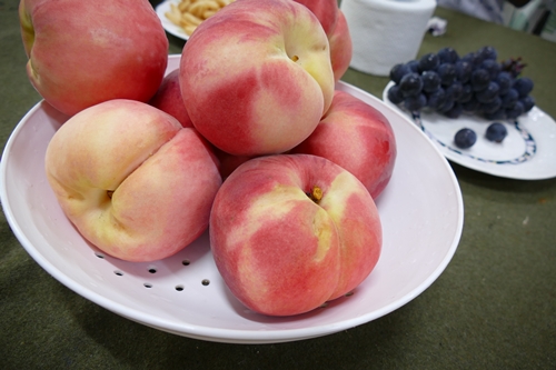 오당-1100520.jpg