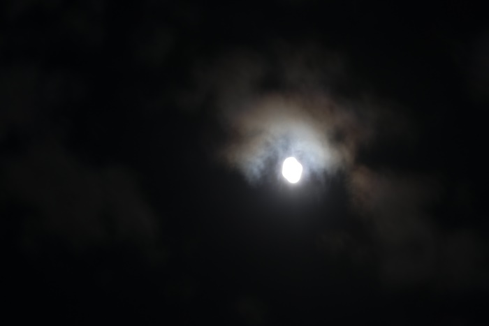 미니달-1120530.jpg