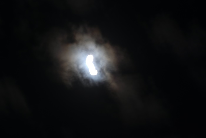 미니달-1120531.jpg