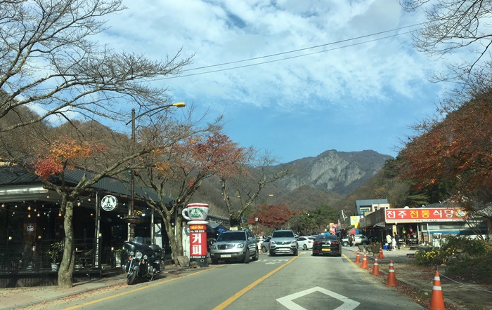 20201015백양단풍-1621.jpg