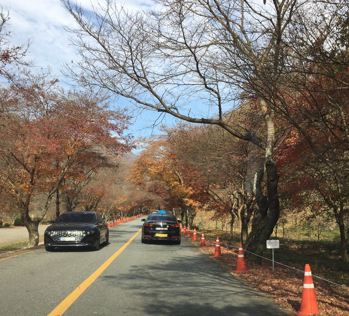 20201015백양단풍-1616.jpg