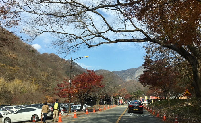 20201015백양단풍-1620.jpg