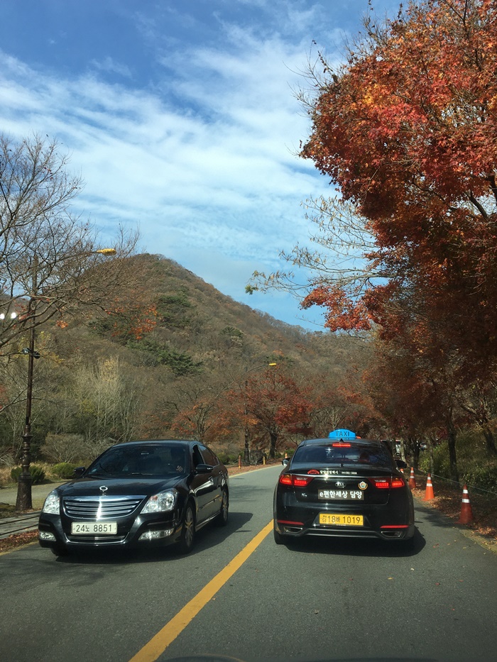 20201015백양단풍-1615.jpg