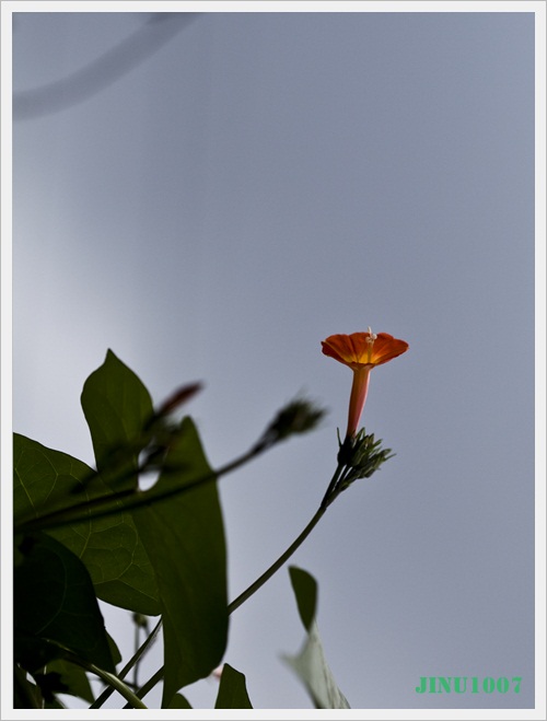 IMG_0860.JPG