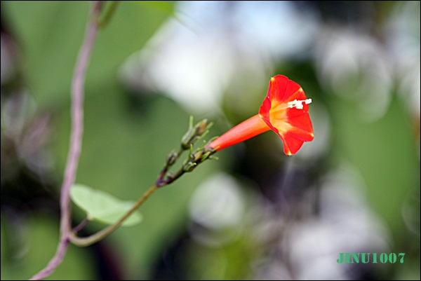 IMG_0862.JPG